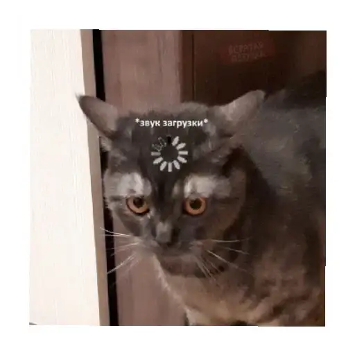 Sticker 😐