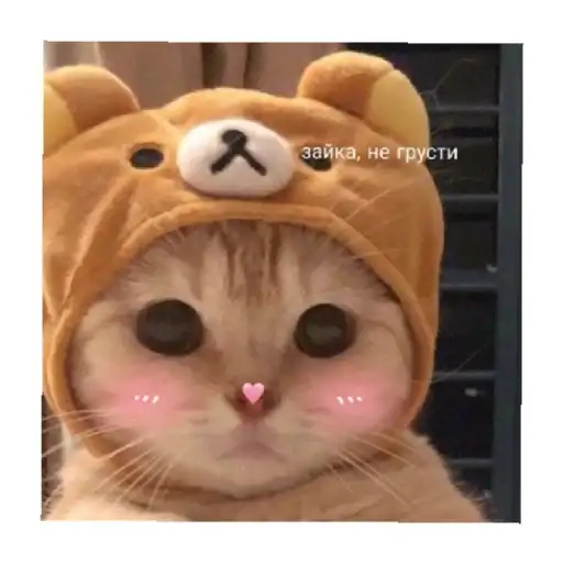Sticker 🥰