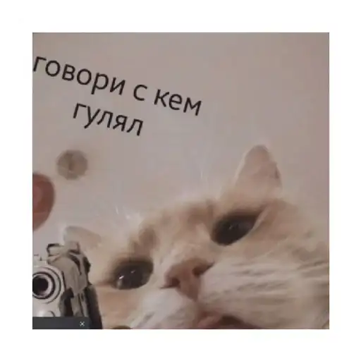 Sticker 🔫