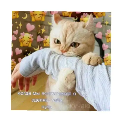 Sticker 🥰