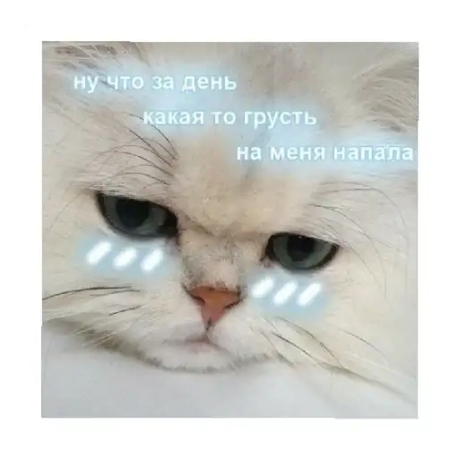 Sticker 😔