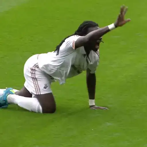 Iconic Celebrations by and preview