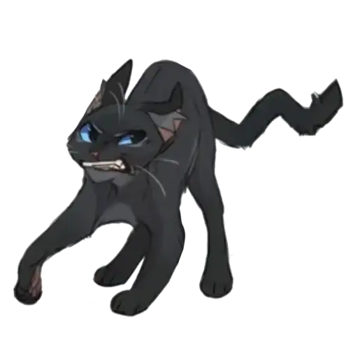 GrayPillow wc preview