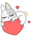 Кролик preview