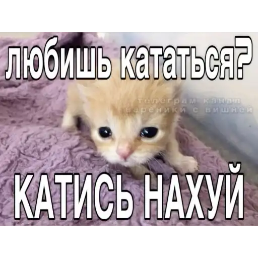 Киберbulling face preview