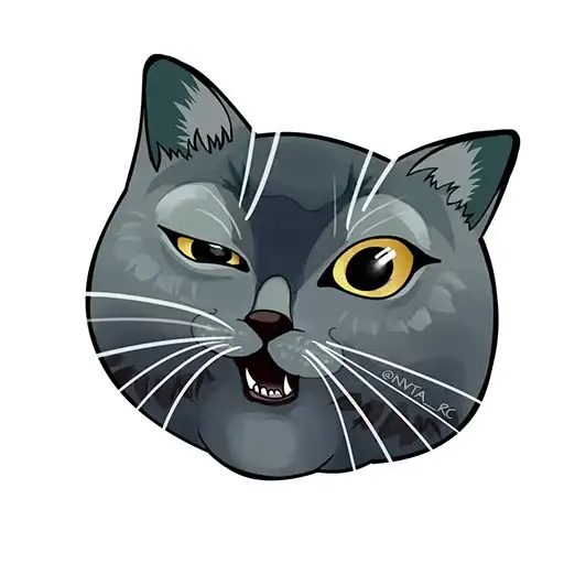 Romance club preview