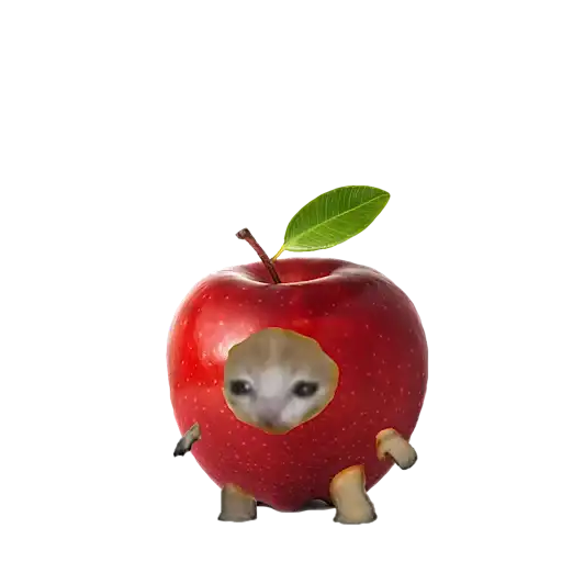 Котики овощи коты фрукты preview