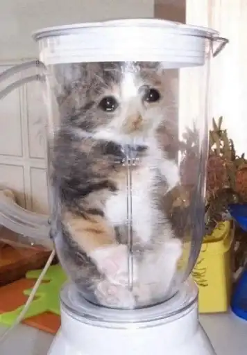 Michis cursed preview