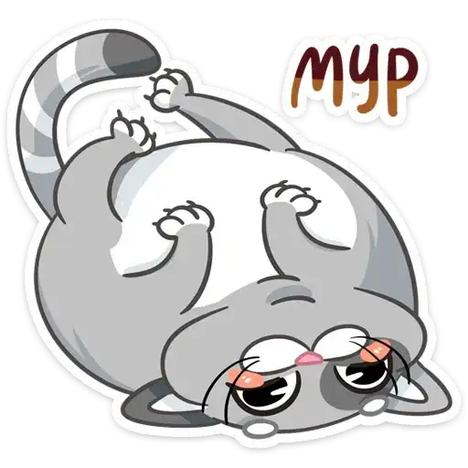 Sticker 🐱