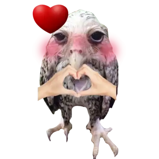 Солевая сова preview