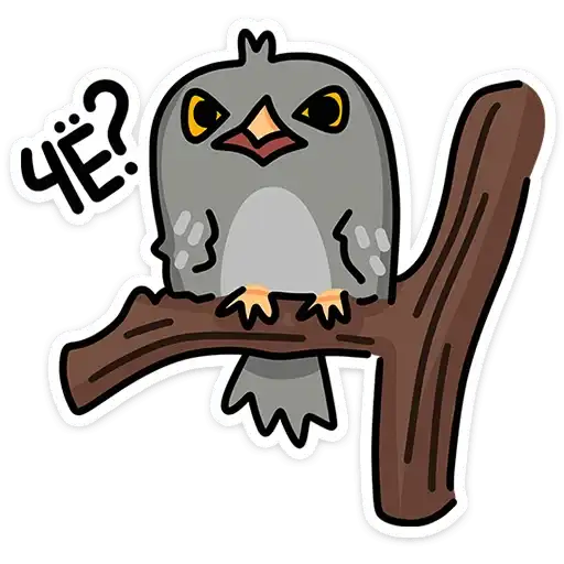 Sticker 🦉