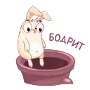 Fantik Rabbit preview