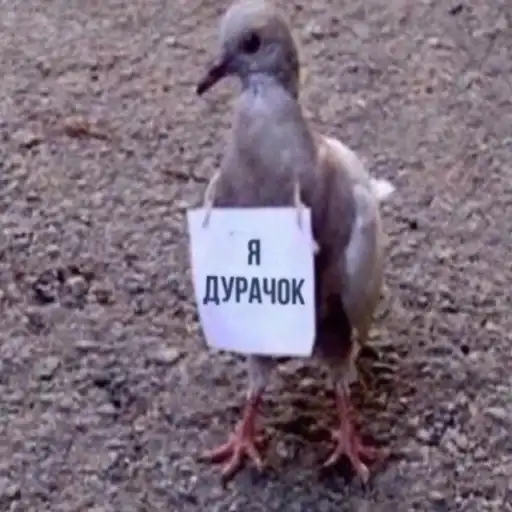 Sticker 🤦‍♂️