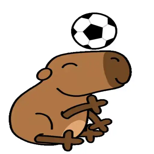 Sticker ⚽️