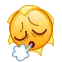 Sticker 😮‍💨
