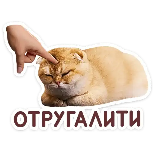 Sticker 🐱
