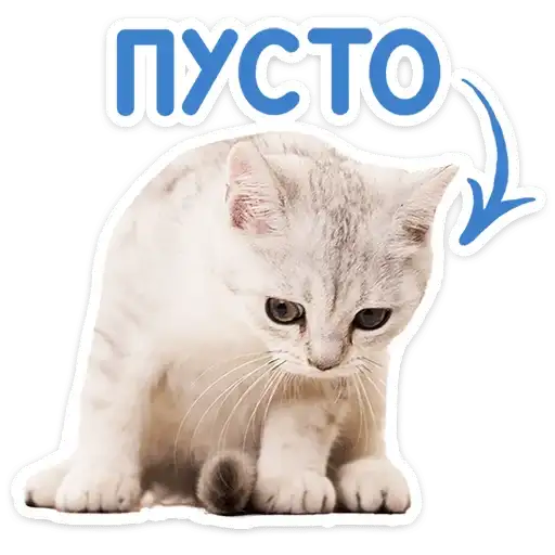 Sticker 🐱