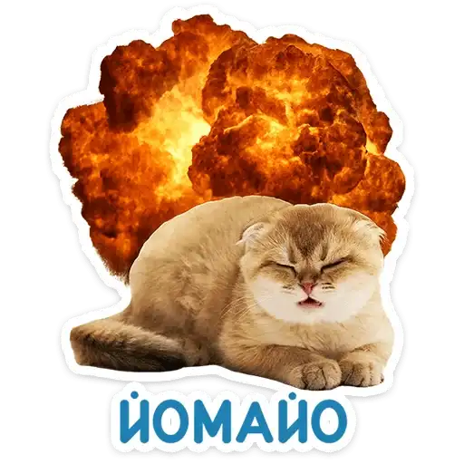 Sticker 🐱