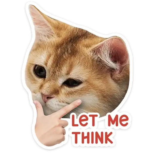 Sticker 🐱