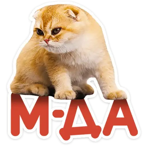 Sticker 🐱
