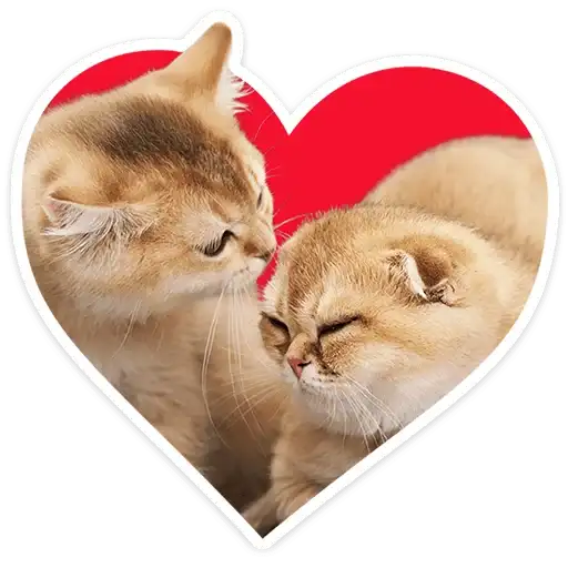 Sticker 🐱