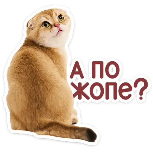 Sticker 🐱