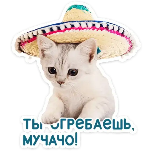 Sticker 🐱