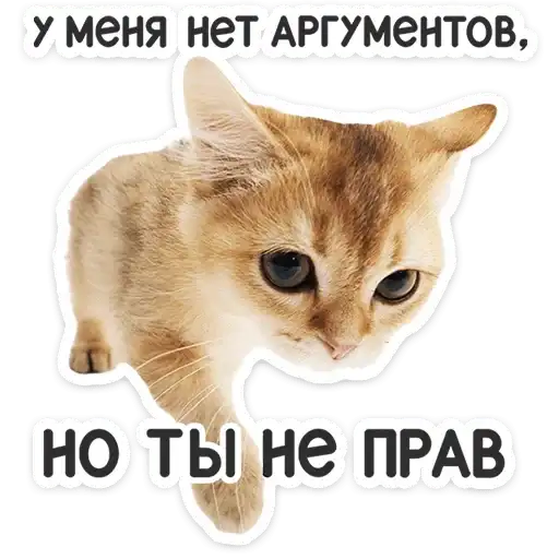 Sticker 🐱