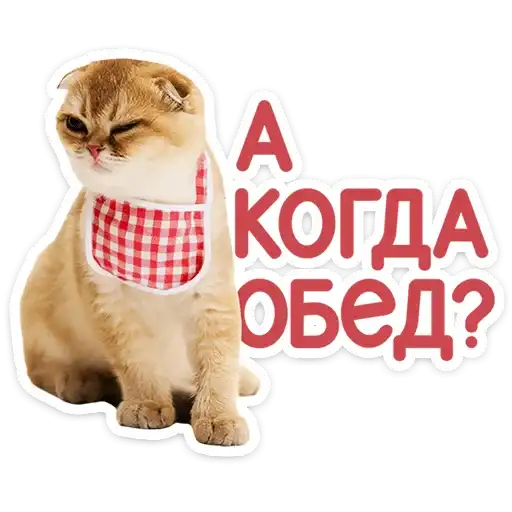 Sticker 🐱