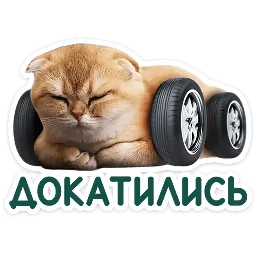 Sticker 🐱