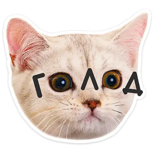 Sticker 🐱