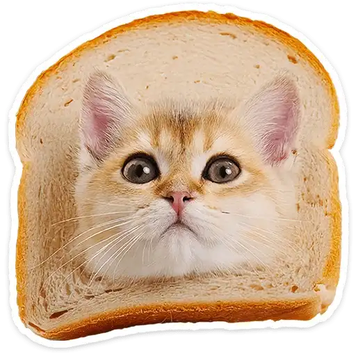 Sticker 🐱