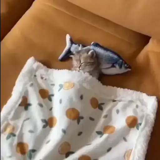Котятки preview
