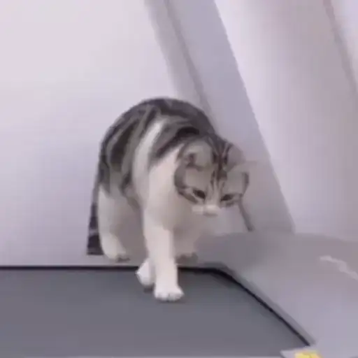 Sticker 🏃‍♂️