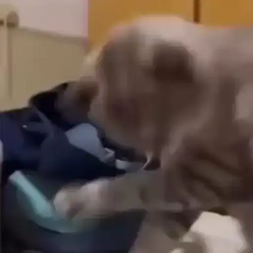 Sticker 💇‍♀️