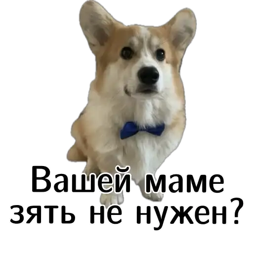 Sticker 👱‍♂️