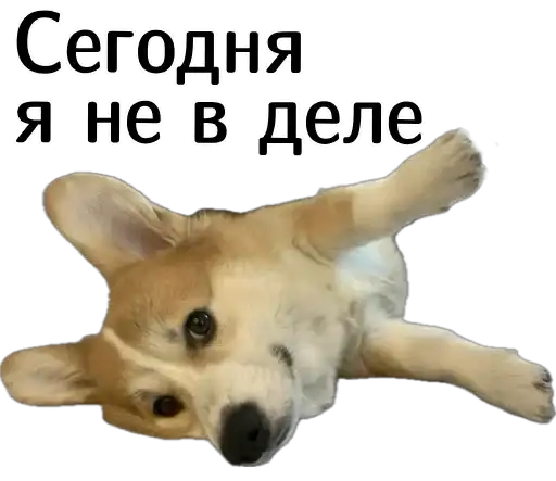 Sticker 🙅‍♀️