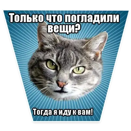 Sticker 🐱
