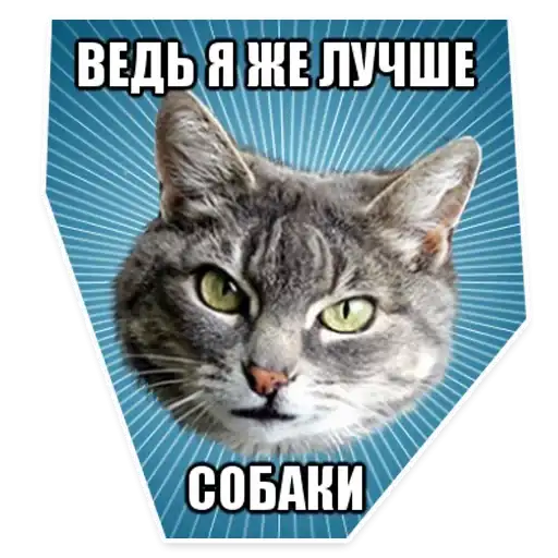 Sticker 😠