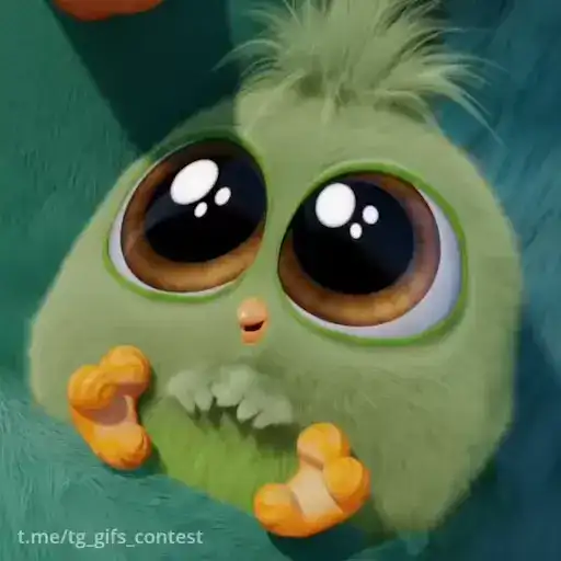 Angry birds preview