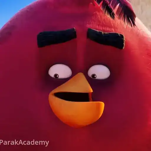 Angry birds preview