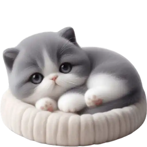 Котик Грей preview