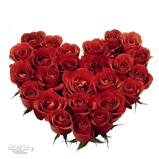 Moorche_Fun2 preview