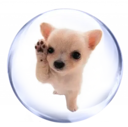 Sticker 🐶