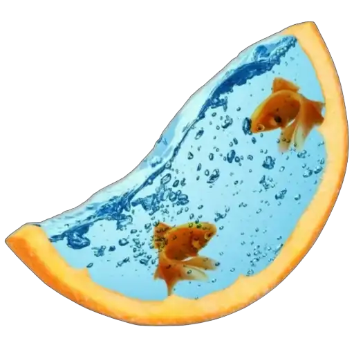Sticker 🍊