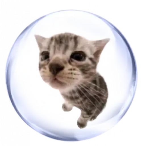 Sticker 🐱