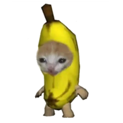 Мемные коты preview