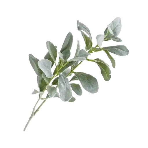 Aesthetics by Di ✨ preview