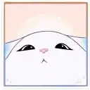 Анимированный кот Минто preview