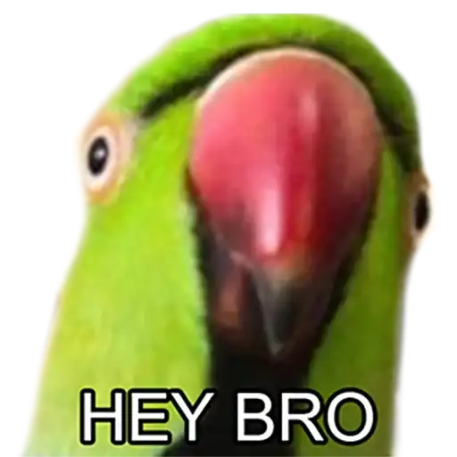 Bro Parrot preview